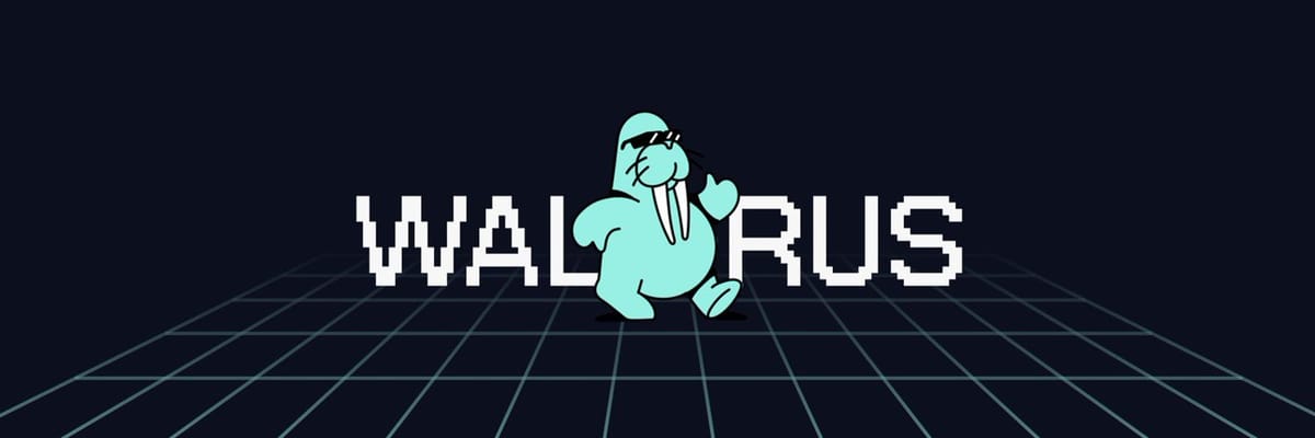 Introducing Walrus: The Future of Decentralized Storage