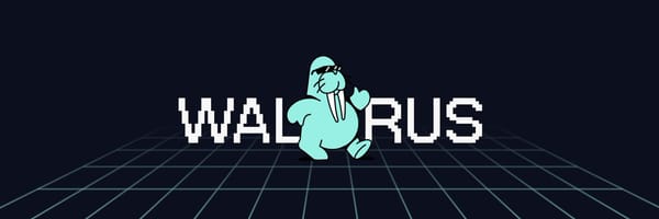 Introducing Walrus: The Future of Decentralized Storage